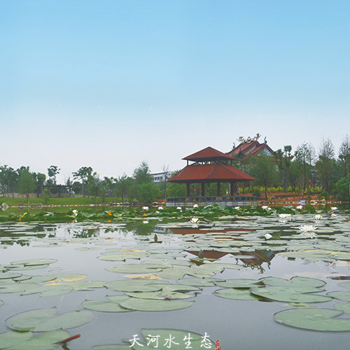 瑞安明镜公园